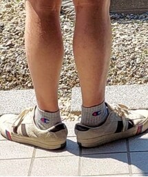 Champion | ソックス/靴下