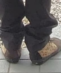 VANS | スニーカー