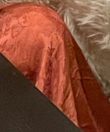 Kastane | スカート