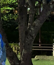 Levi's | デニムジャケット