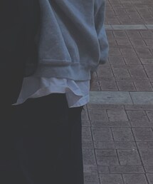 PRO CLUB  | Tシャツ/カットソー