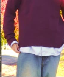 UNIQLO | シャツ/ブラウス