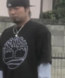 Timberland | Tシャツ/カットソー