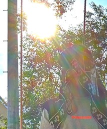 Indian scarf | ストール/ショール