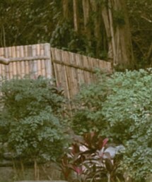 UNIQLO | トップス