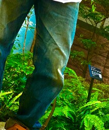 EVISU | デニムパンツ