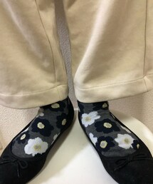 キャンドゥ | ソックス/靴下