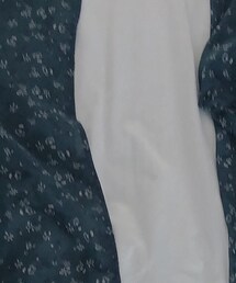 Honeys | ワンピース