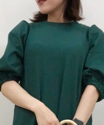 Green　Parks | ワンピース