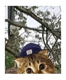 Carhartt | ニットキャップ/ビーニー