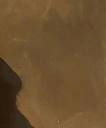 grove | Tシャツ/カットソー