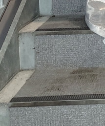 microwave | パンツ