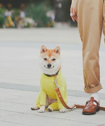 こうめ🐶 | 福袋/福箱