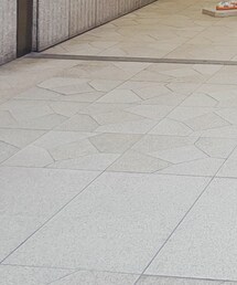 Kastane | スカート