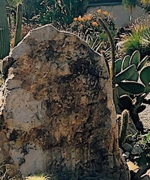 20s_tnewties | その他トップス