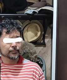 EDIFICE | 　セール　数百円(ストール/ショール)