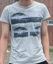 DIESEL | Tシャツ/カットソー