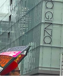 WORDS, SOUNDS, COLORS & SHAPES | 長傘