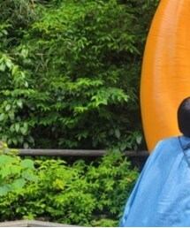 RALPH LAUREN | シャツ/ブラウス