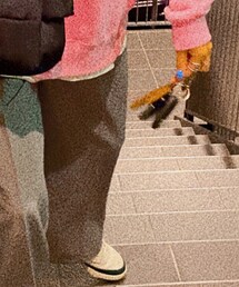 shein | スラックス