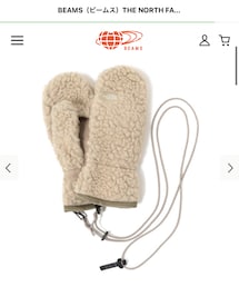 THE NORTH FACE | 手袋