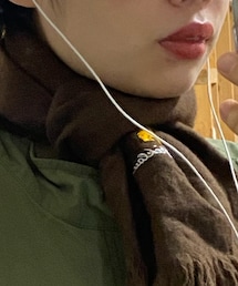 Golden Bear | マフラー