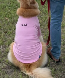 X-girl | Tシャツ/カットソー