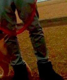 F.C.R.B. | スウェットパンツ