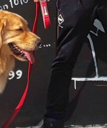 F.C.R.B. | パンツ