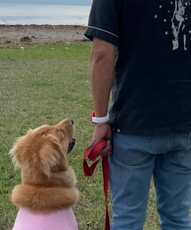 SWATCH | アナログ腕時計