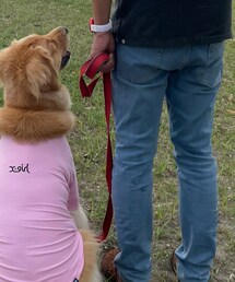 GU | デニムパンツ