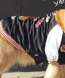 ペット用 | スカジャン