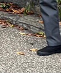 VANS | スリッポン