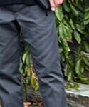 Dickies(ディッキーズ)の「パンツ(チノパンツ)」