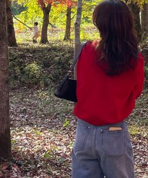 ZARA | ショルダーバッグ