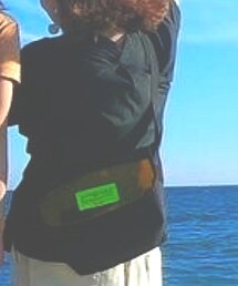 しまむら | Tシャツ/カットソー