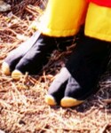 楽天の「シューズ(その他シューズ)」