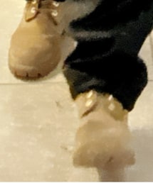 Timberland | ブーツ