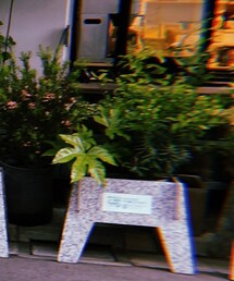 CHANEL | ハンドバッグ