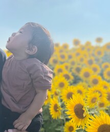 BREEZE | Tシャツ/カットソー