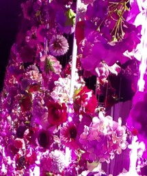 花 | その他