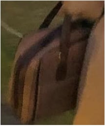 BURBERRY | ボストンバッグ