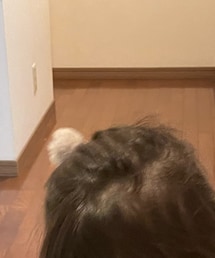 DAISO | ヘアゴム