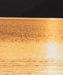 TONEDTROUT | マウンテンパーカー