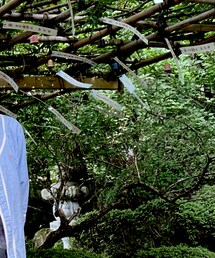 ラルフローレンリメイク | シャツ/ブラウス