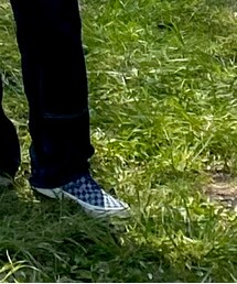 VANS | スニーカー
