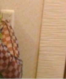 Candy Stripper | Tシャツ/カットソー