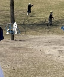 guepard | サングラス