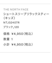 THE NORTH FACE | トップス