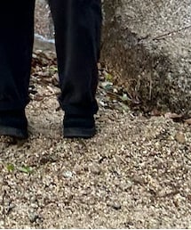 ZARA | スリッポン